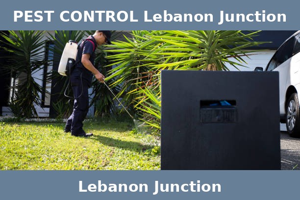 PEST CONTROL Lebanon Junction